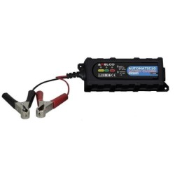 caricabatterie inverter universale automatic 10