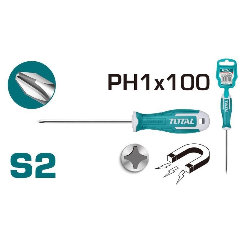 cacciavite ph 1x100