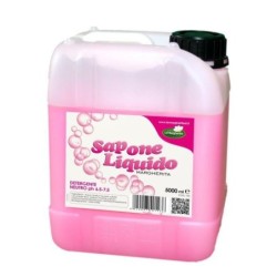 sapone lavamani rosa in tanica l.5