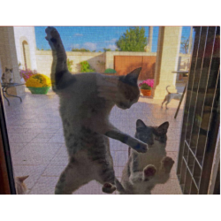 rete zanzariera anti gatto dura net cm.60