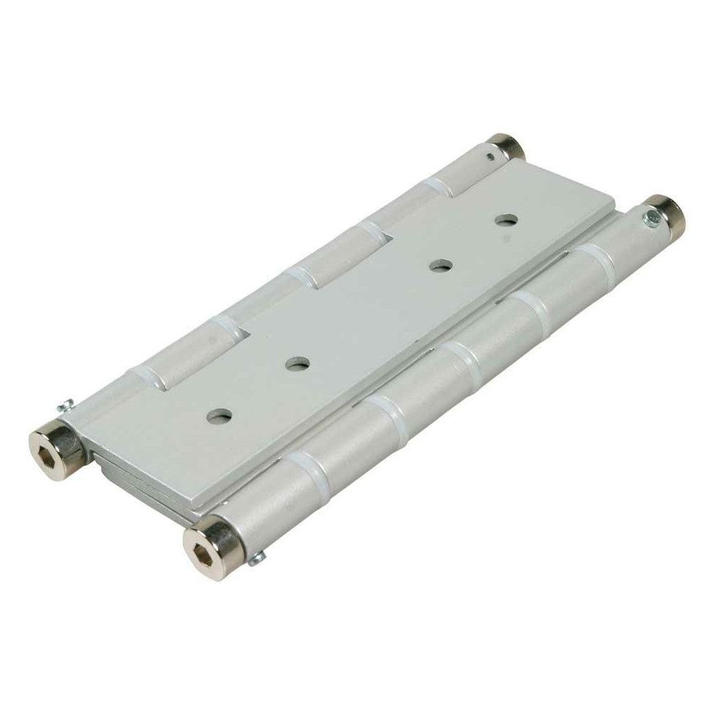 Coppia Cerniere Doppia Azione Argento R40