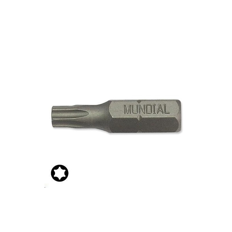 inserto torx t40x25