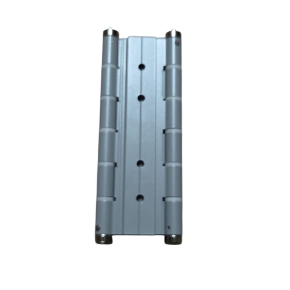 Coppia Cerniere Doppia Azione Argento R40