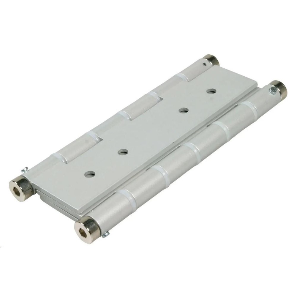 COPPIA CERNIERE DOPPIA AZIONE ARGENTO