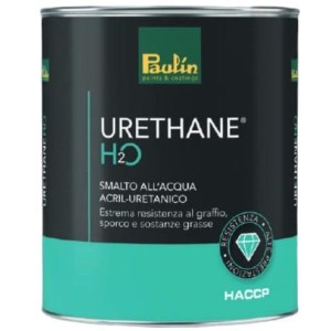 Smalto H2O Urethane...