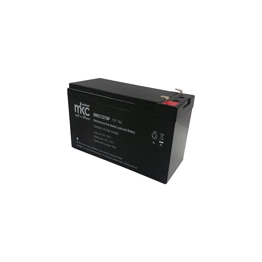 BATTERIA ALLARME 12V 7 AH