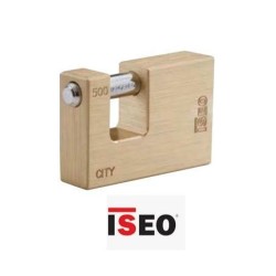 lucchetto ottone da 50