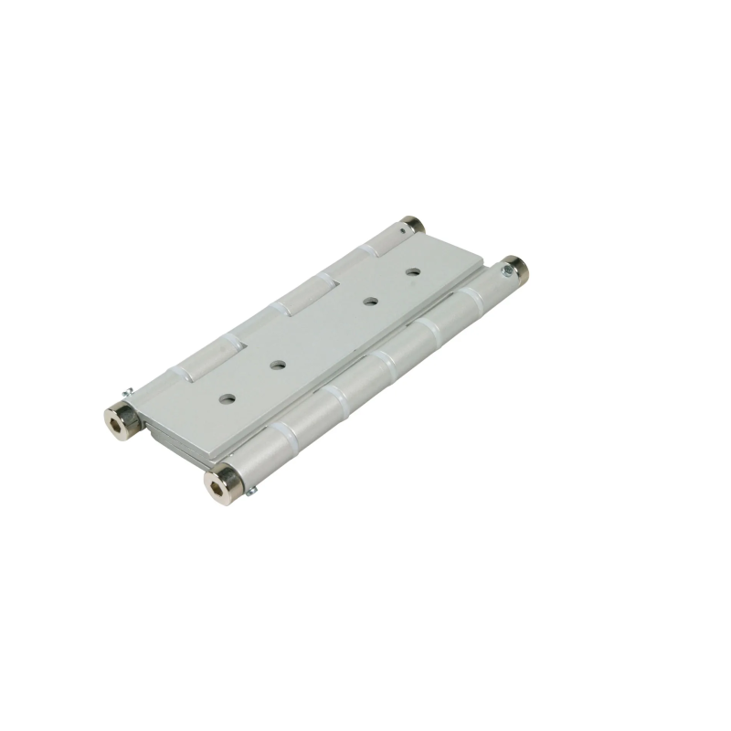 coppia cerniere doppia azione argento r40