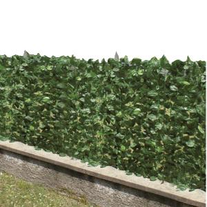 ARELLE SEMPREVERDI SIEPE M.1X20