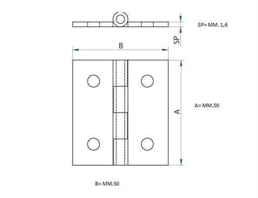 CERNIERA A LIBRO OTTONE 50X50