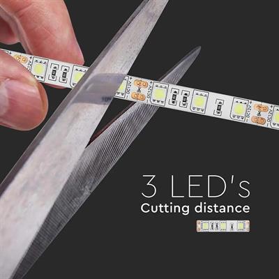 STRISCIA 60 LED AL METRO 12V IP65 M.5 6000 °K