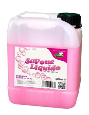 SAPONE LAVAMANI ROSA IN TANICA L.5
